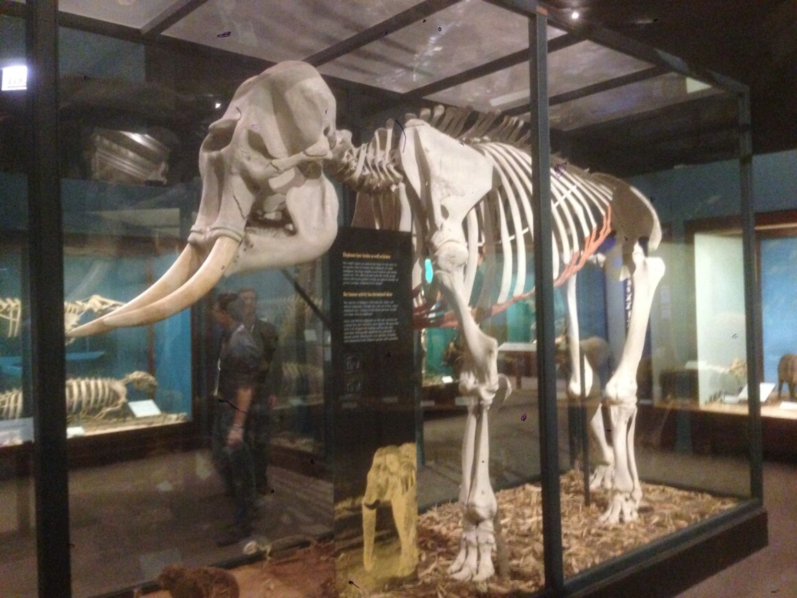 Relativity Fest 2016