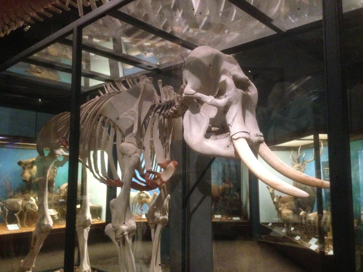 Relativity Fest 2016