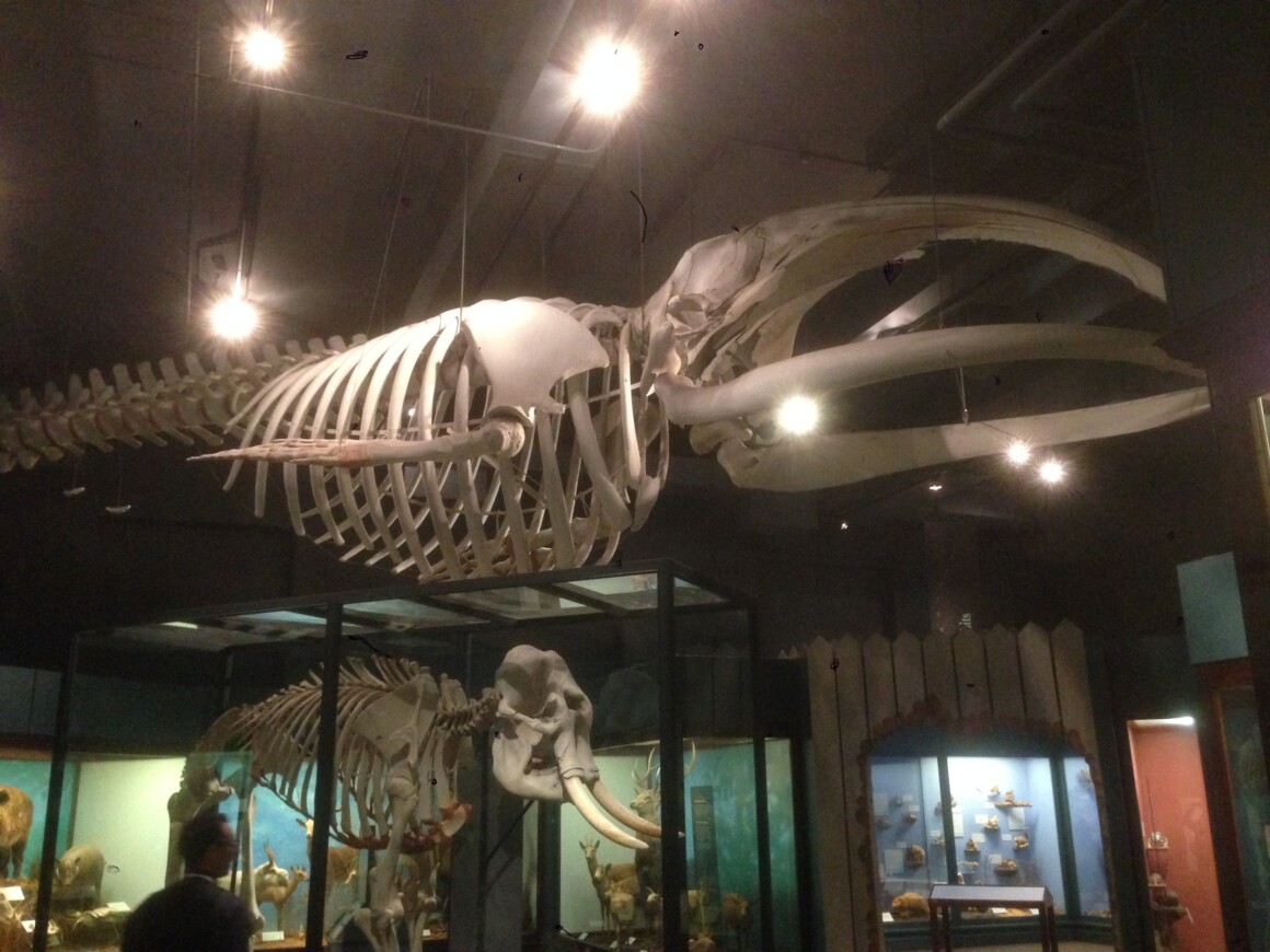 Relativity Fest 2016